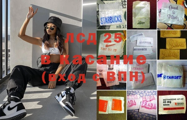 шишки Алзамай