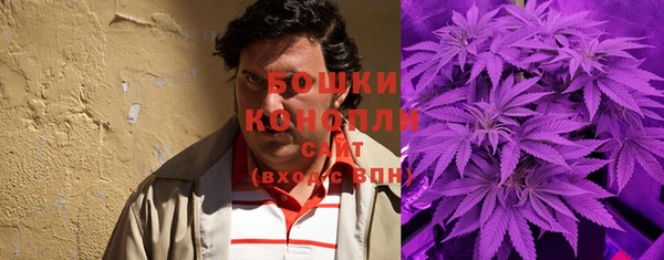 шишки Алзамай