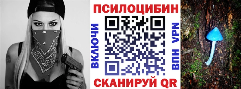 Псилоцибиновые грибы мицелий  Апрелевка 